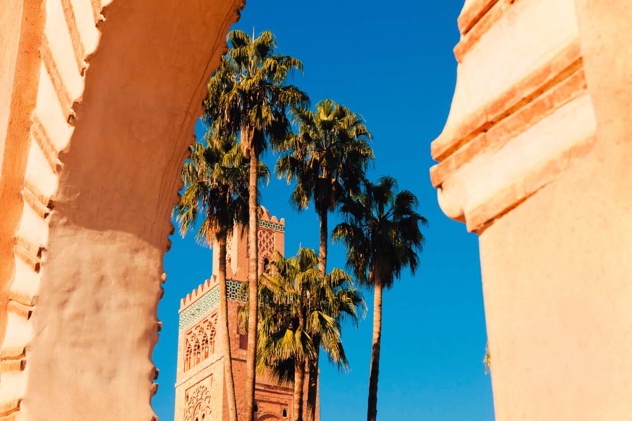 MARRAKECH (D + C)