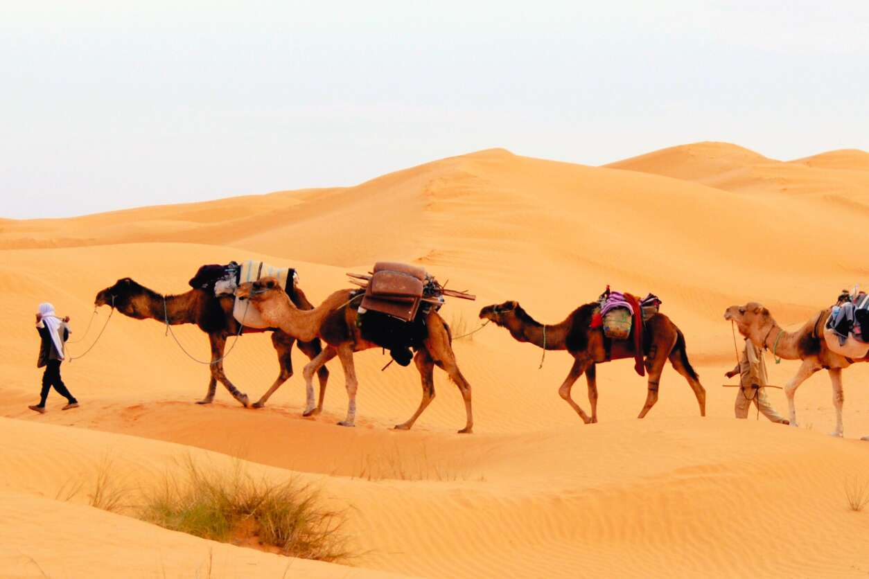 MARAVILLAS DEL DESIERTO