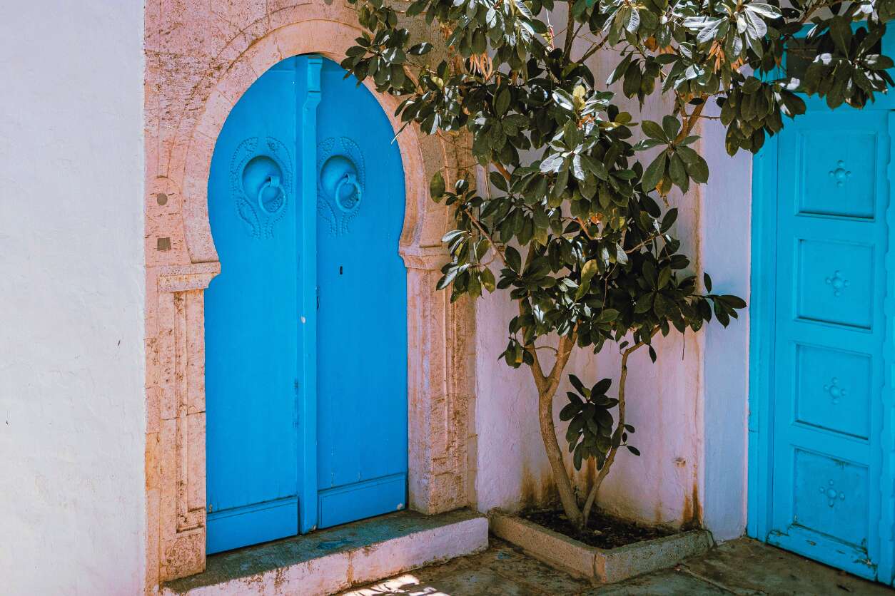 TÚNEZ – MEDINA TÚNEZ – CARTAGO – SIDI BOU SAID – HAMMAMET ( P.C.)